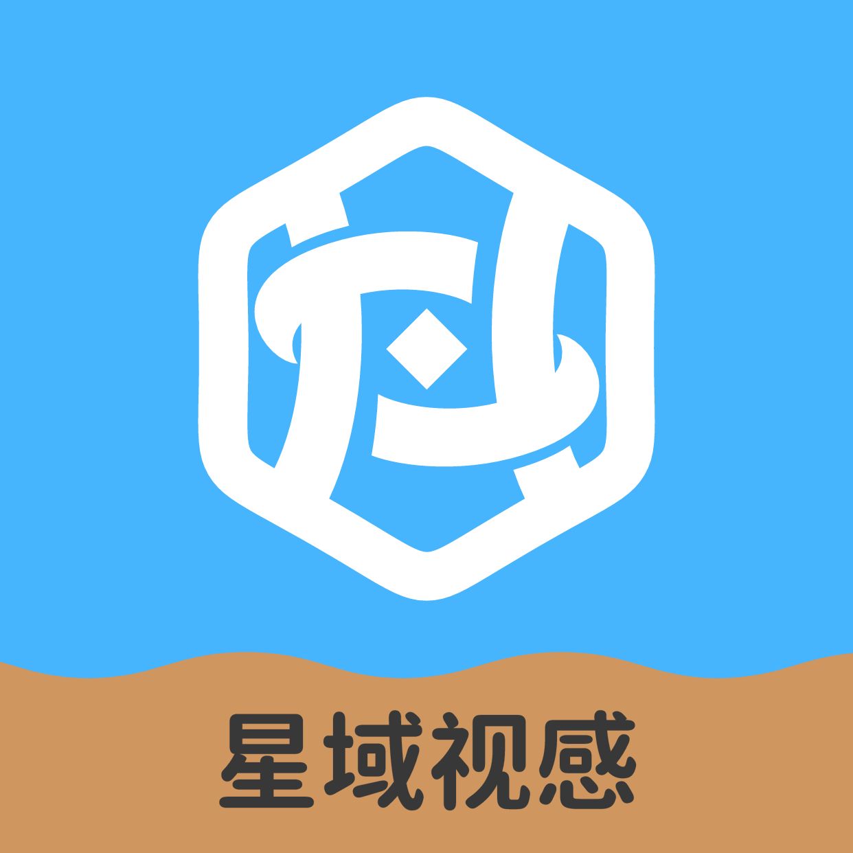 苏州星域视感科技有限公司logo